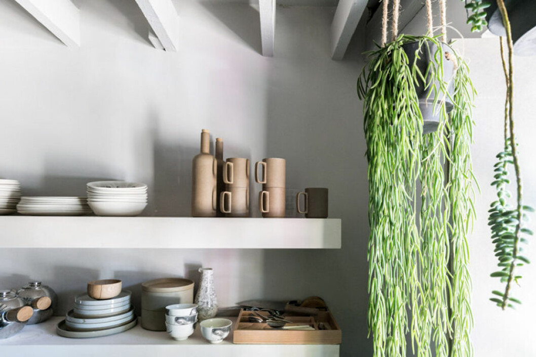 toogood pots plant