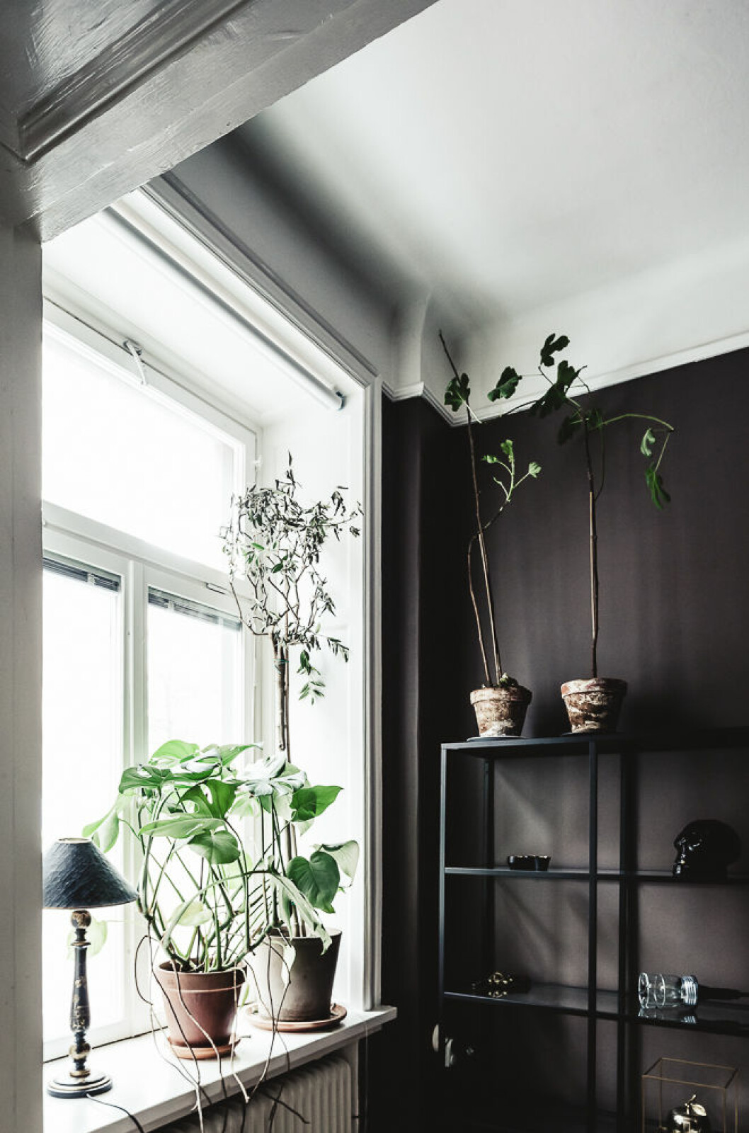Foto och styling: Emily Dahl monstera-in-window-and-shelves