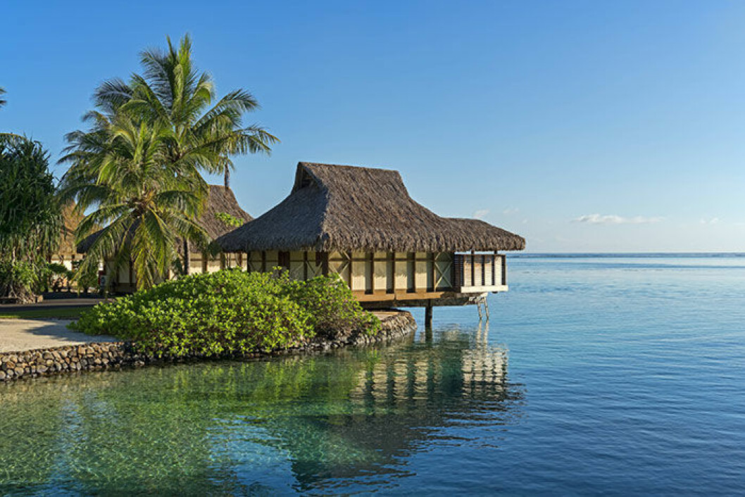 Nyförlovad på Moorea – ja tack! moorea