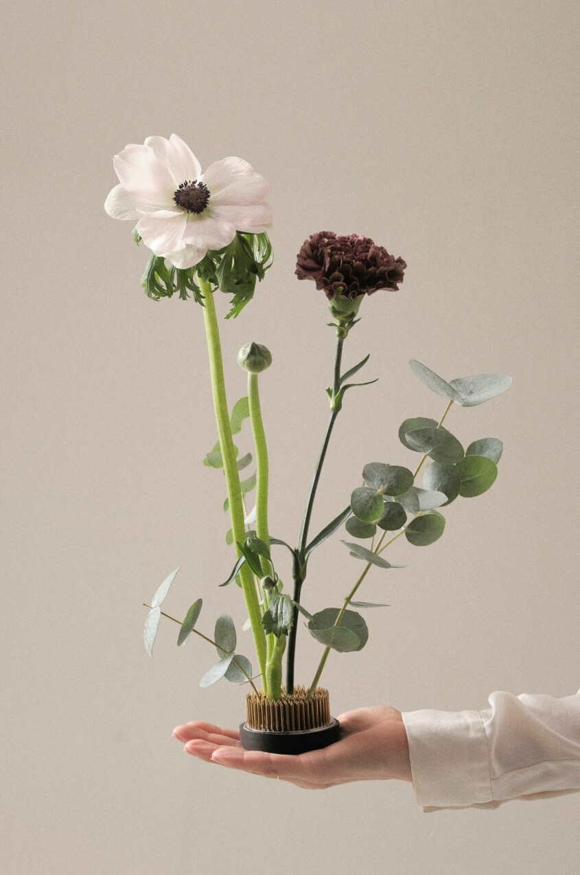 Oberoende stjärntecken skapar du säsongens vackraste arrangemang med en blomsterfakir. Snittblommor enligt stjärntecken blomtrender, nejlika