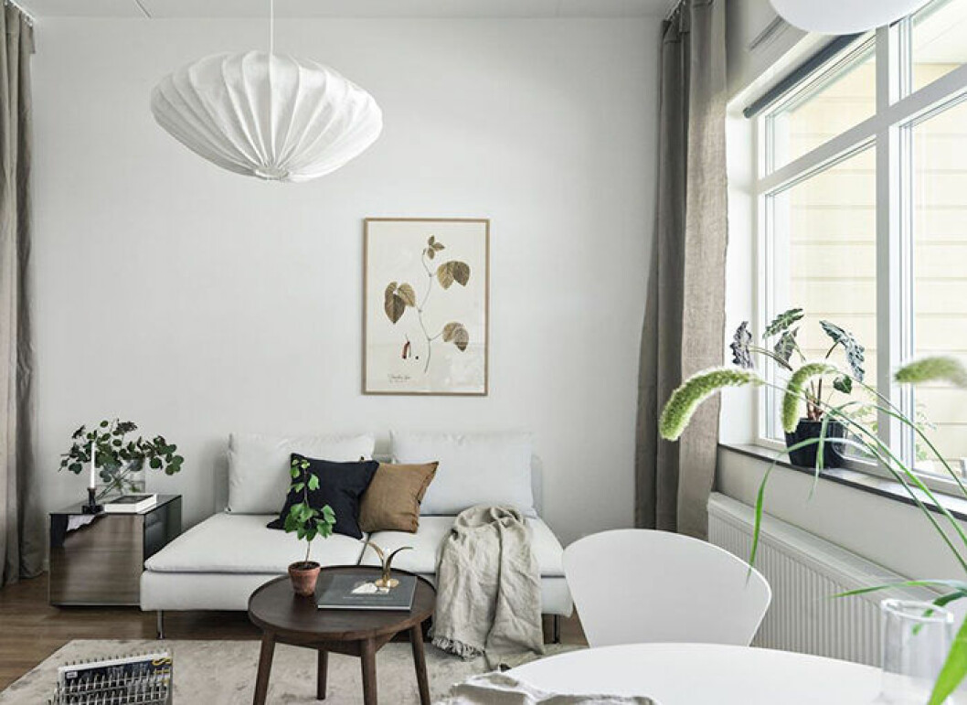Foto: Louise Martinsson/SE360 Styling: Homedecor för Bjurfors/mäklare: Linn Andersson Inred med växter i den nyproducerade lägenheten för att skapa mysfaktor