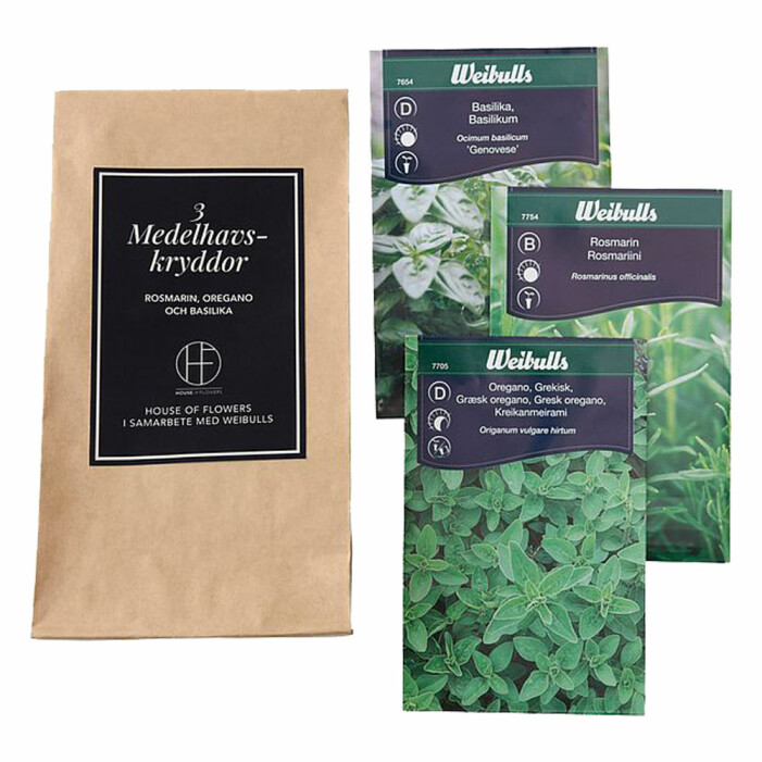 fröer basilika oregano och rosmarin