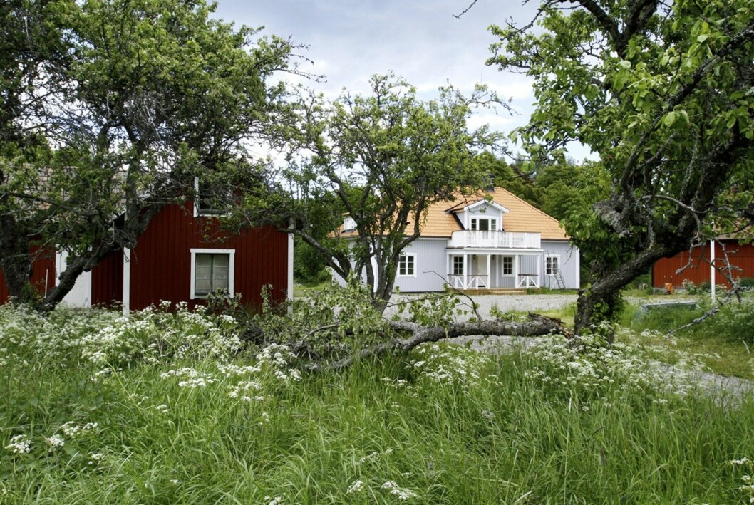 Ökenäs gård. När Sofia och Carl Philip säger att de ska åka till landet – då är det hit de ska. Foto: Patrik Österberg.