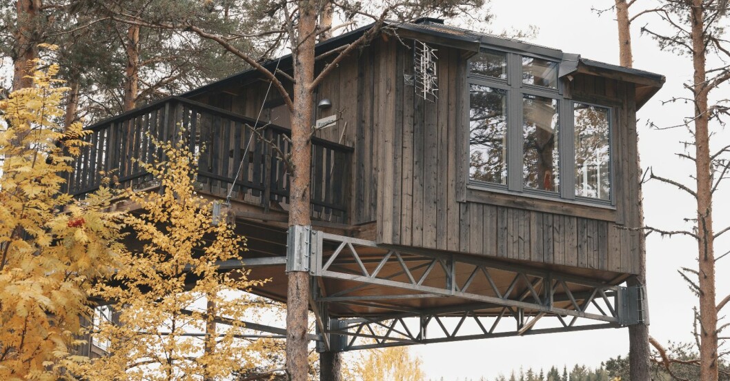På Granö Beckasin bor man bland trädtopparna.