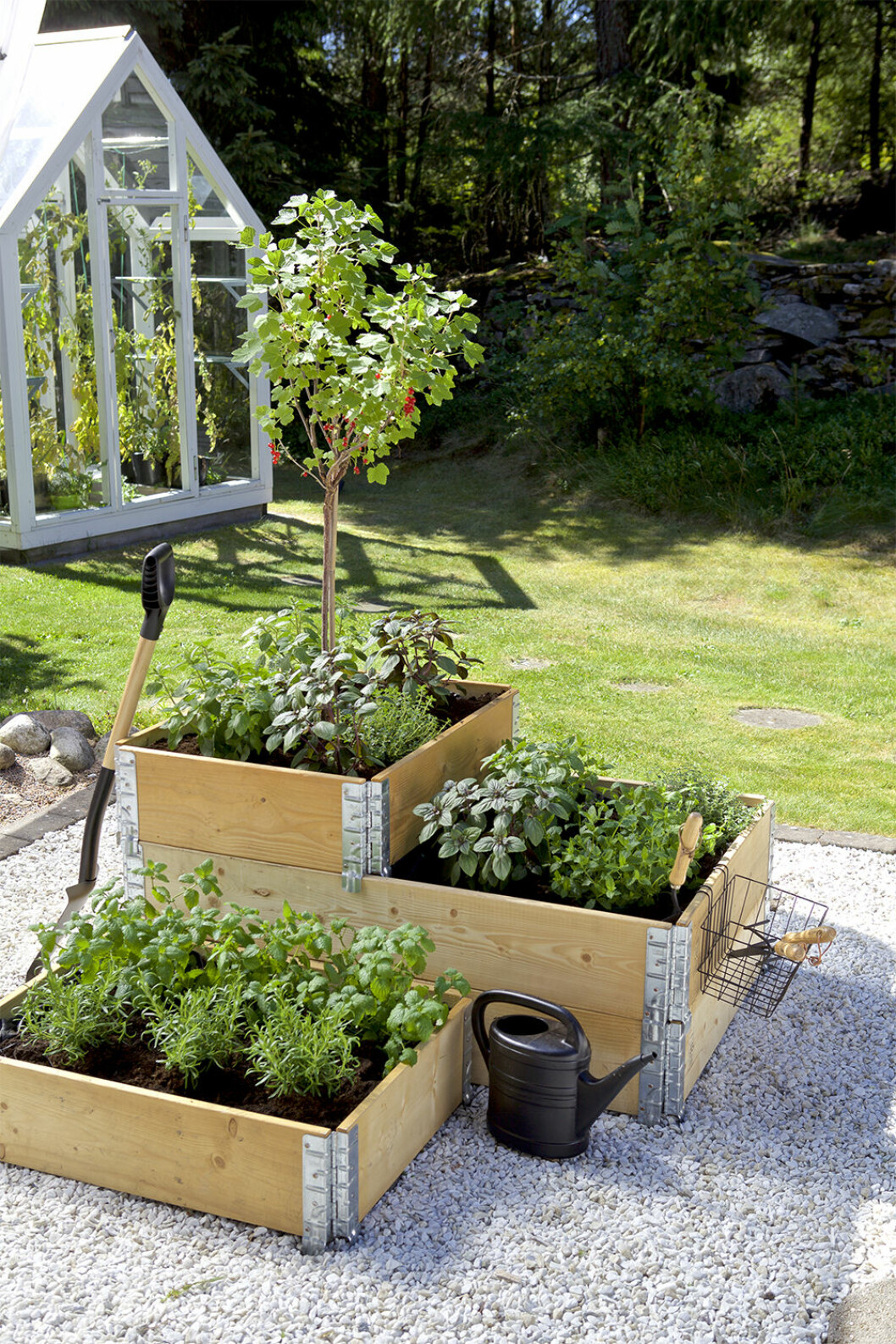 Våga plantera både örter, grönsaker och blommor i dina pallkragar i år! Foto: Blomsterlandet Vad kan man odla i pallkrage? Allt från bärbuskar till grönsaker!