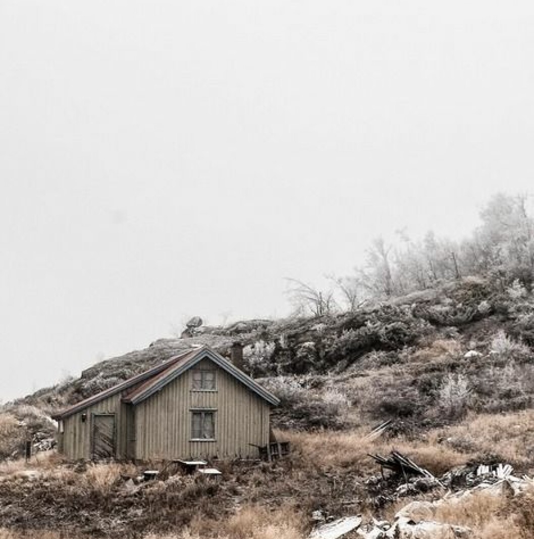 Winter is coming #winter #today #canoncolorchase. perolav3