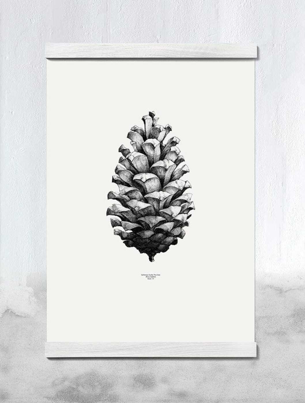 Foto via: <a href="http://www.paper-collective.com/product/nature-1-1-pine-cone-by-form-us-with-love-white-05001">Paper Collective</a> pinecone paper collective form us with love