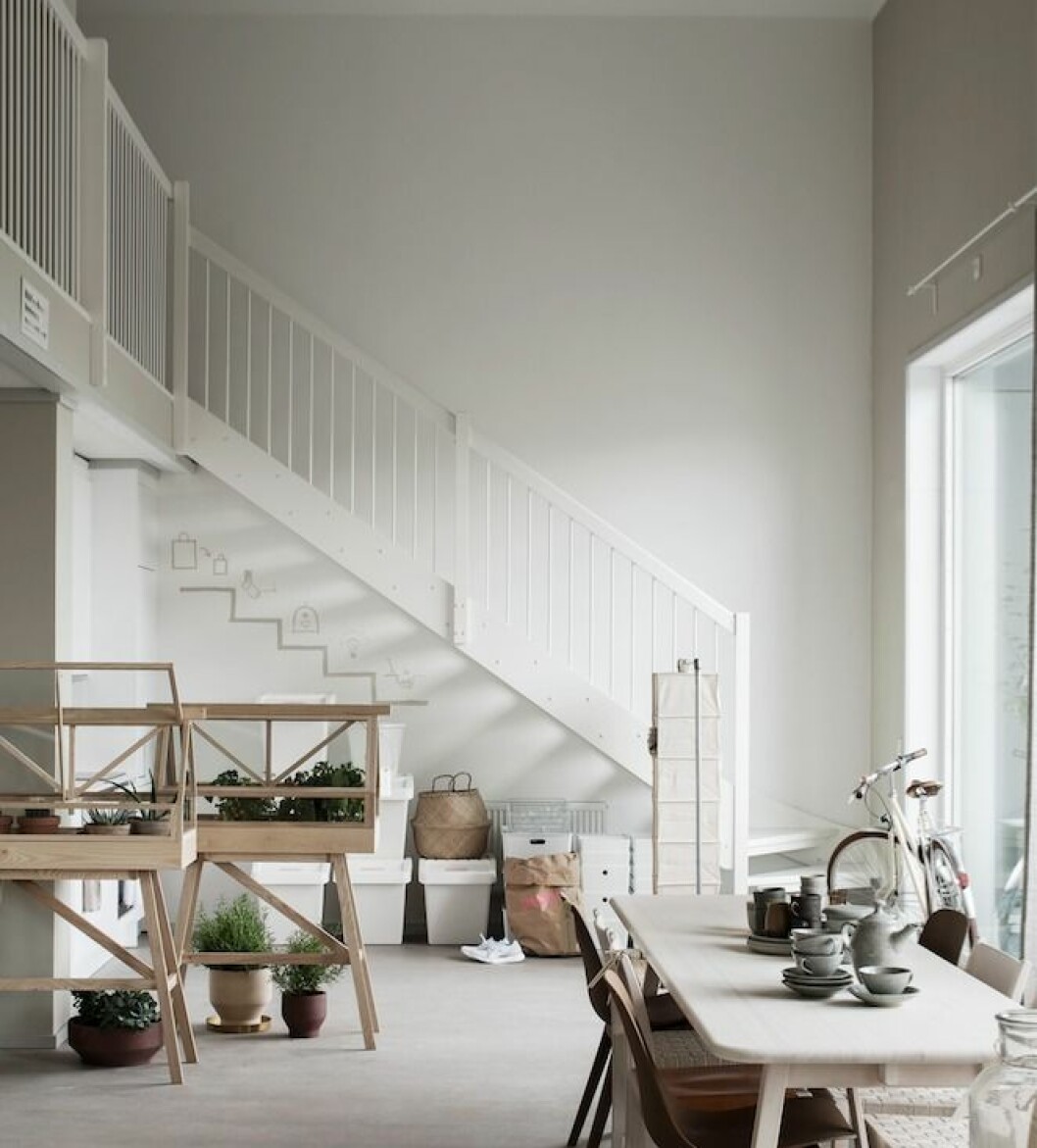 Växter från <a href="https://www.plantagen.se/" target="_blank" rel="noopener">Plantagen</a>.