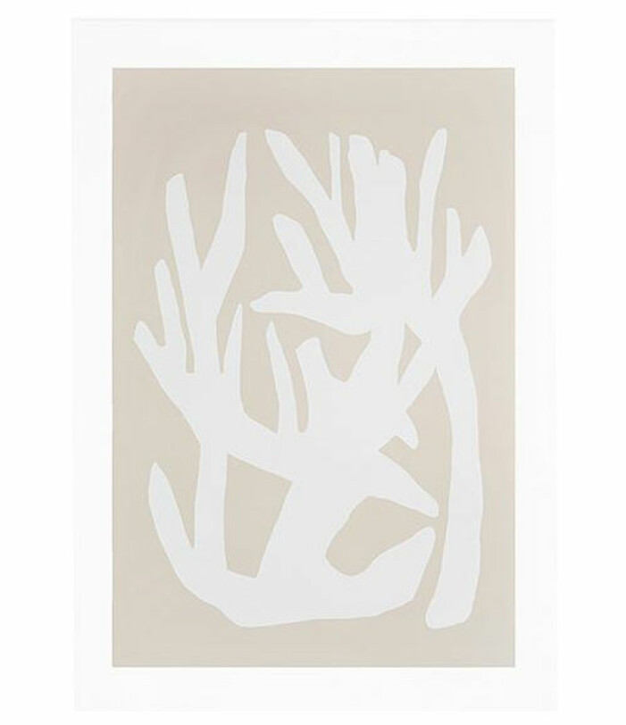 poster beige ellos