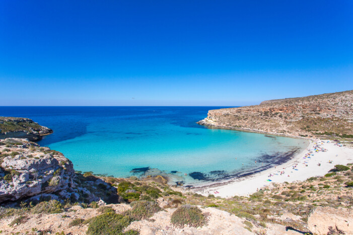 Rabbit beach italien