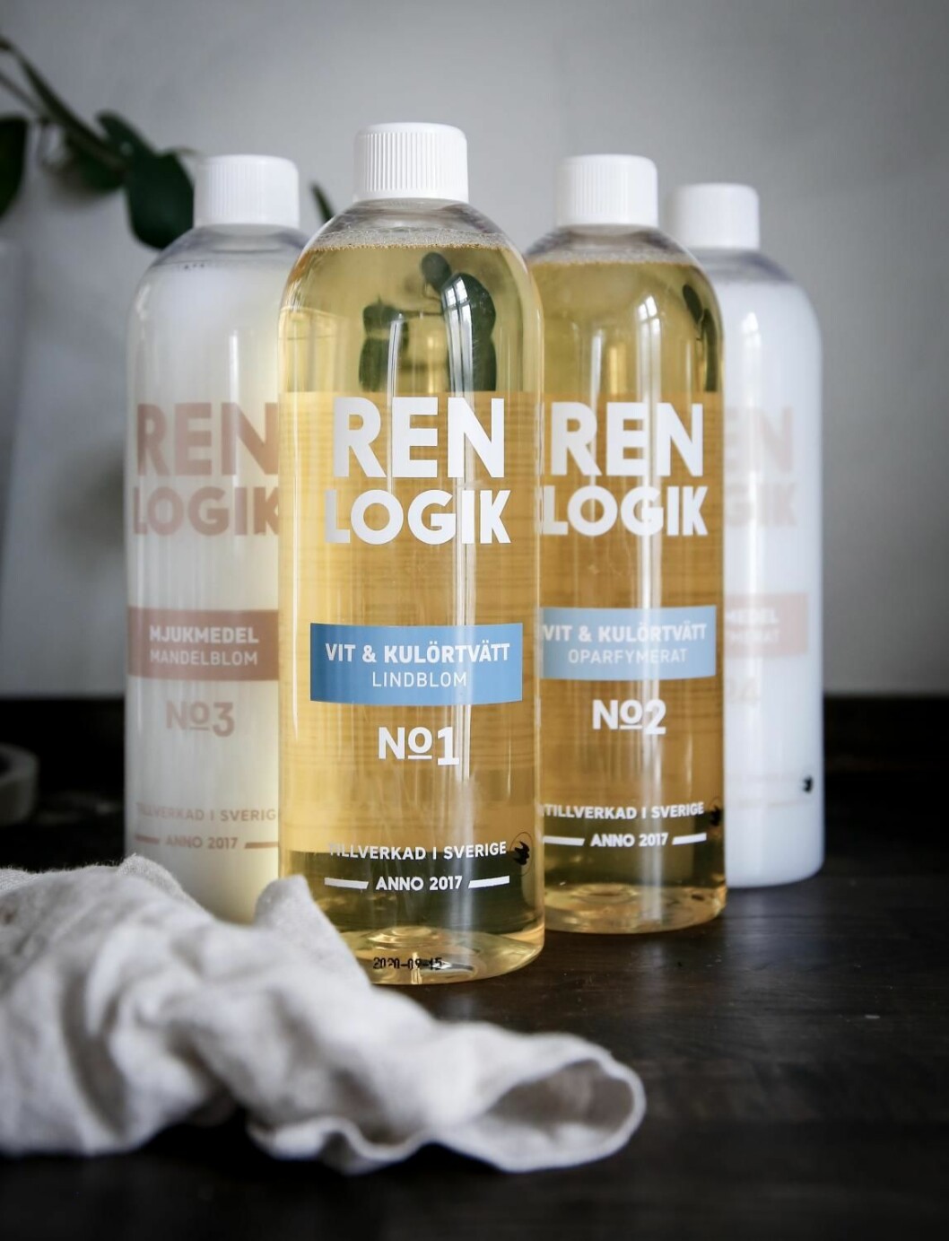 ren logik