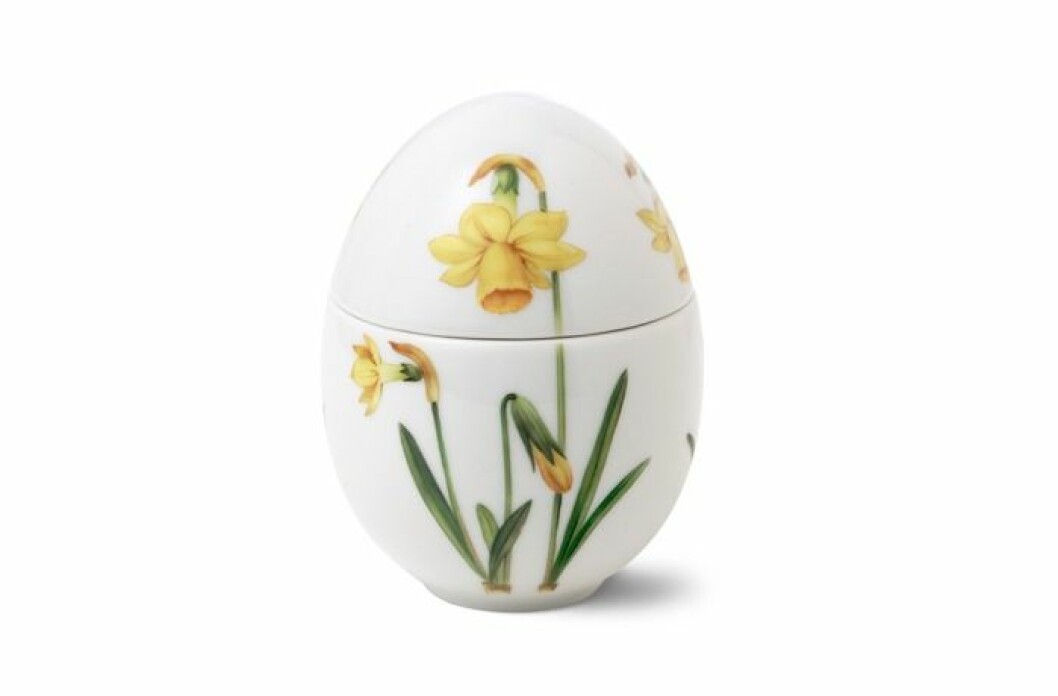 Narcissus, 459:-