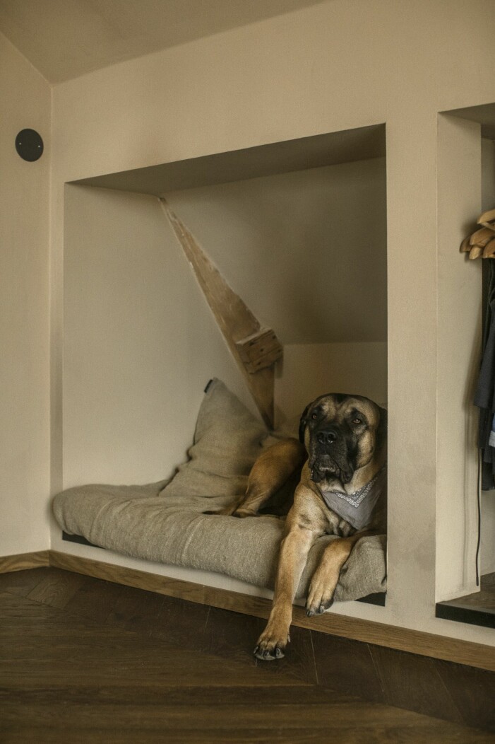 Rummet är tänkt att även inhysa kontor i framtiden, men i en av nischerna har Gustav byggt en säng åt Boris. Självklart sover han hellre i Gustavs säng. Säng åt hunden Boris. - Gustav Ovland.