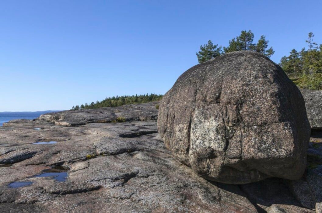 Höga Kusten bjuder på magiska naturupplevelser för hela familjen.