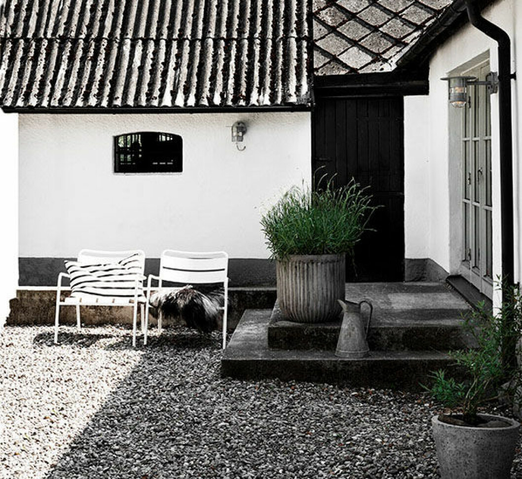 <span style="color: #888888"><em>På Skånes mysigaste innergård prunkar lavendel och ett klotformat valnötsträd att dagdrömma under. Den svarta dörren leder in till det gamla stallet som ska integreras med boningshuset. Stolar, Ikea, stora krukan, House Doctor.</em></span> På Skånes mysigaste innergård prunkar lavendel och ett klotformat valnötsträd att dagdrömma under. Den svarta dörren leder in till det gamla stallet som ska integreras med boningshuset. Stolar, Ikea, stora krukan, House Doctor.