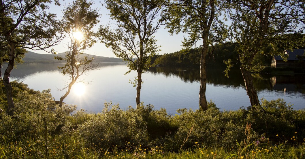 . Vy från Fjällnäs – Sveriges äldsta fjällhotell. Sjö i solnedgång, Fjällnäs