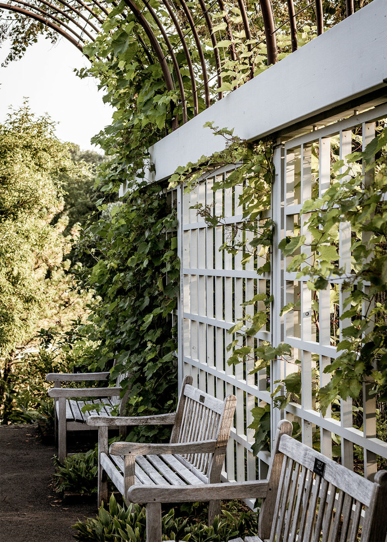 Victoria Skoglund tipsar om att man kan bygga på höjden i trädgården med en spaljé