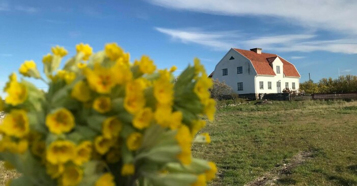 sylvis döttrar hembageri