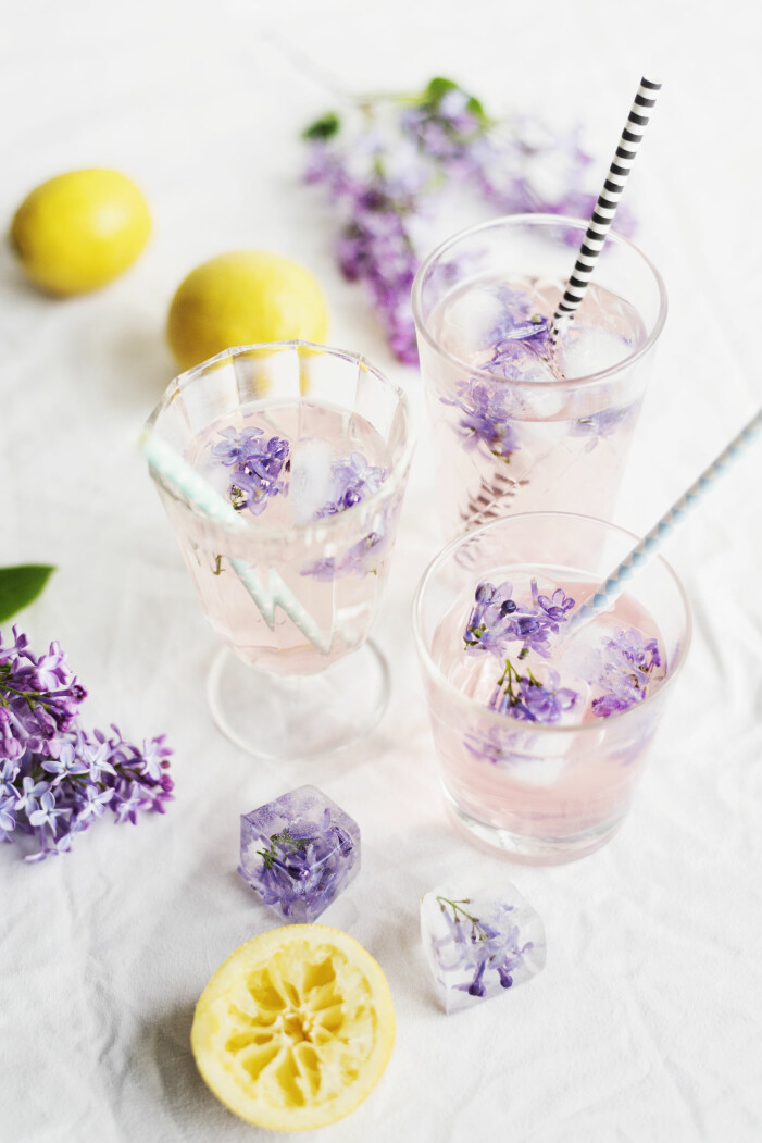 Syrensaft är svårslaget när sommarvärmen drar in. Foto: TT. Syrener är ätbara blommor