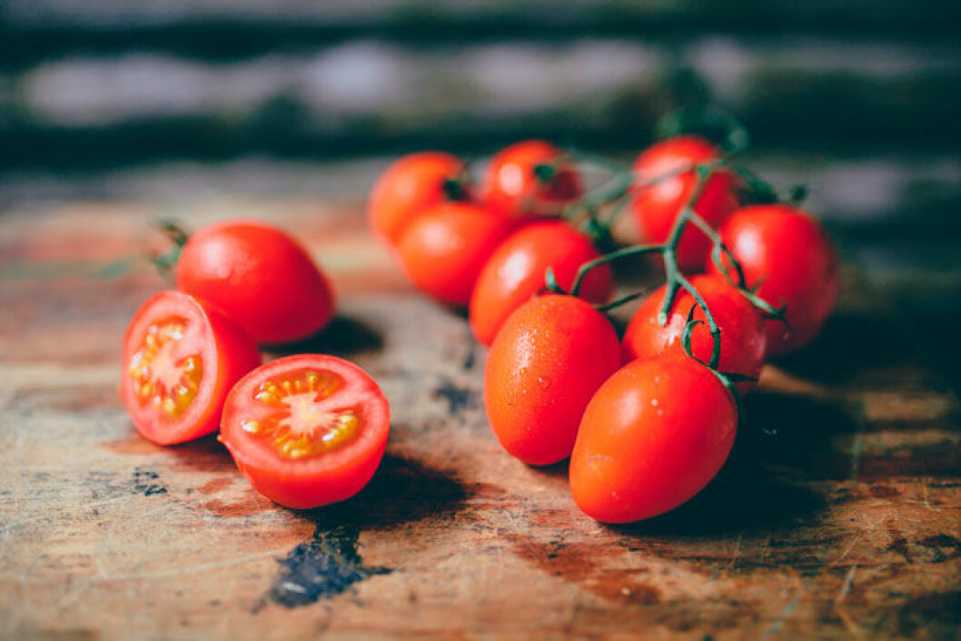 Foto: Shutterstock söta tomater