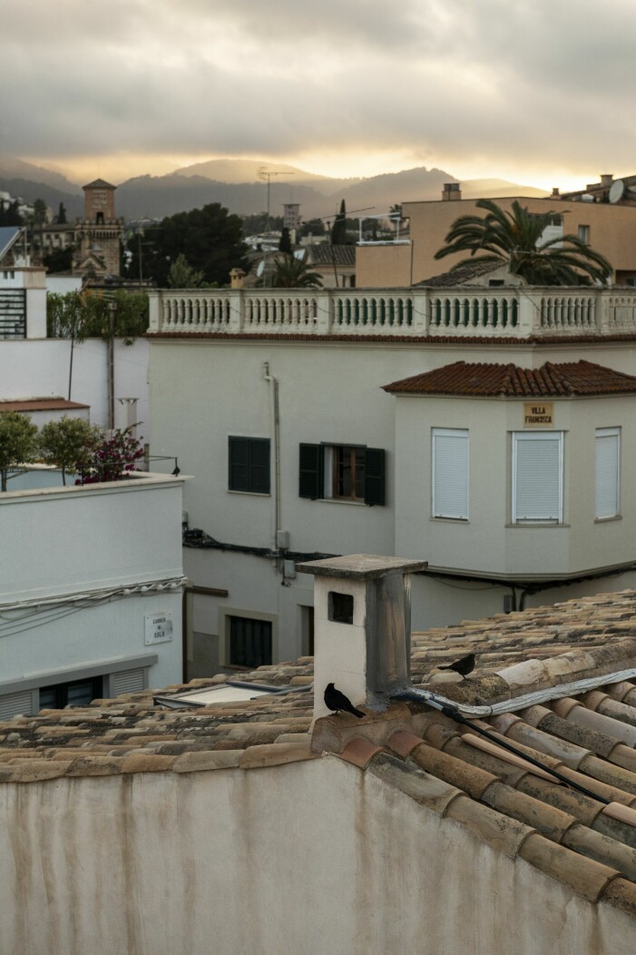 Palma och de omgivande bergen är vackert i alla väder. Hustak på Mallorca