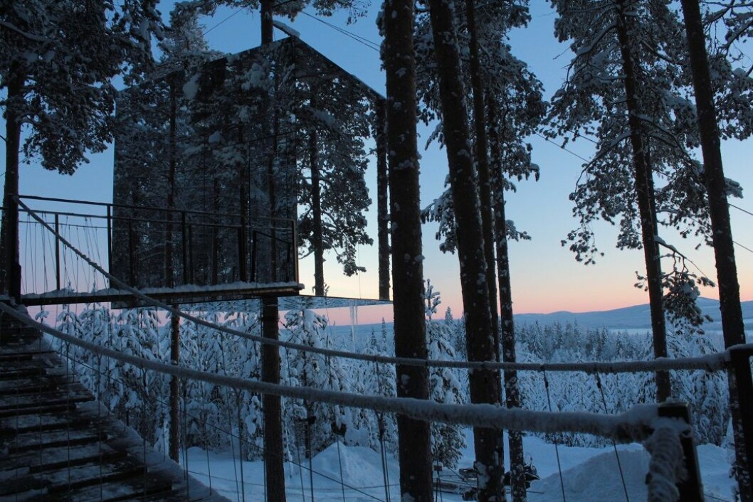 treehotel2