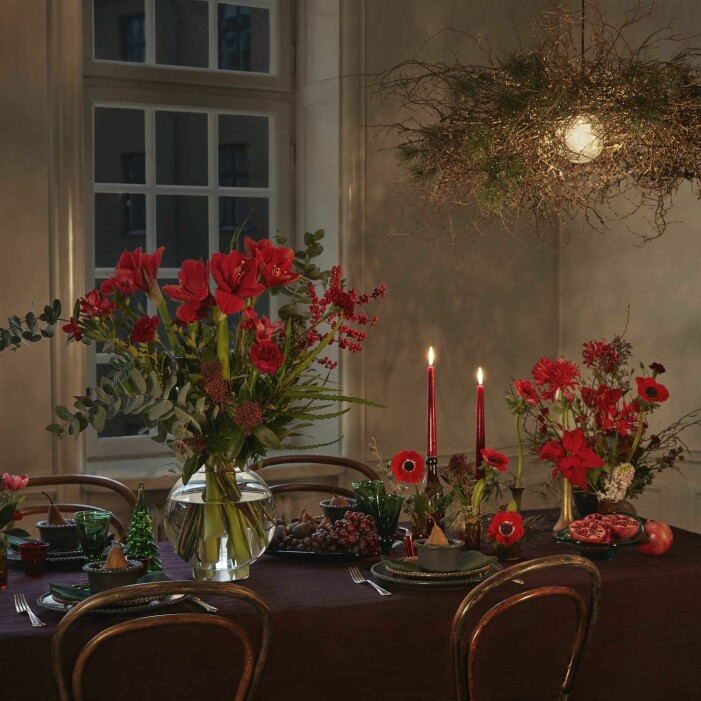 Julsäsongen 2021 präglas av klassiska blommor och växter i traditionella utföranden. Foto: Interflora. Julens trendigaste växter 2021