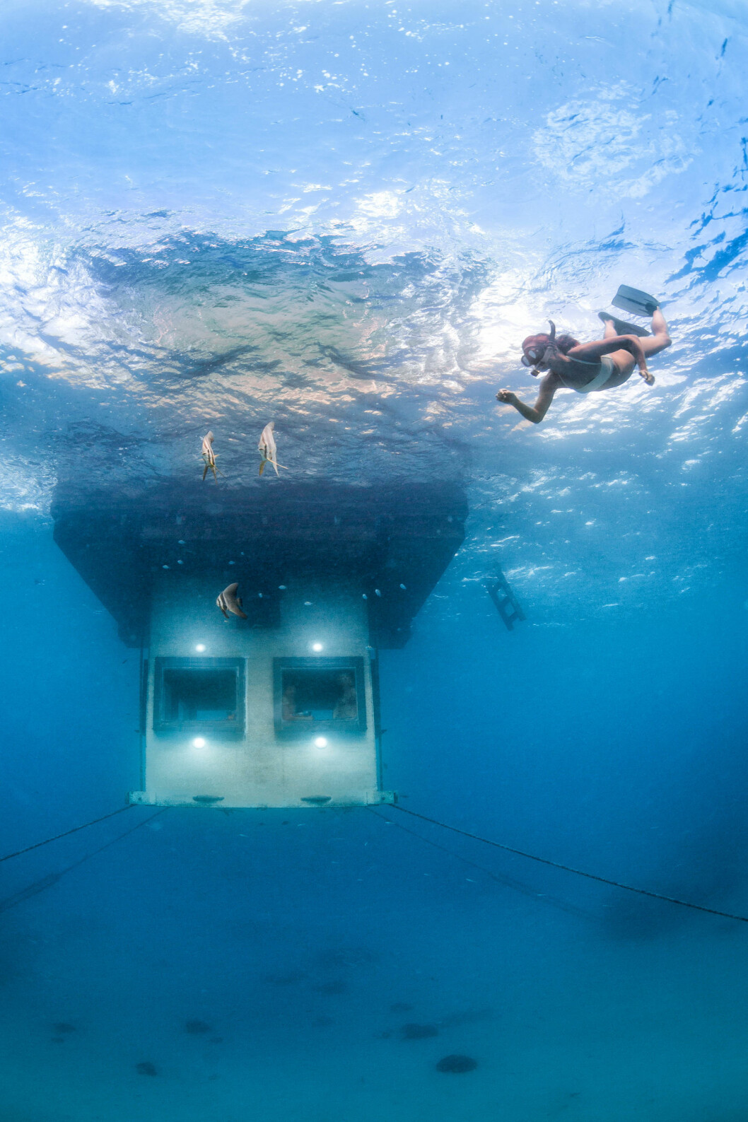 En undervattensbild på The Manta Underwater Room. Foto: Jesper Anhede En undervattensbild på The Manta Underwater Room.