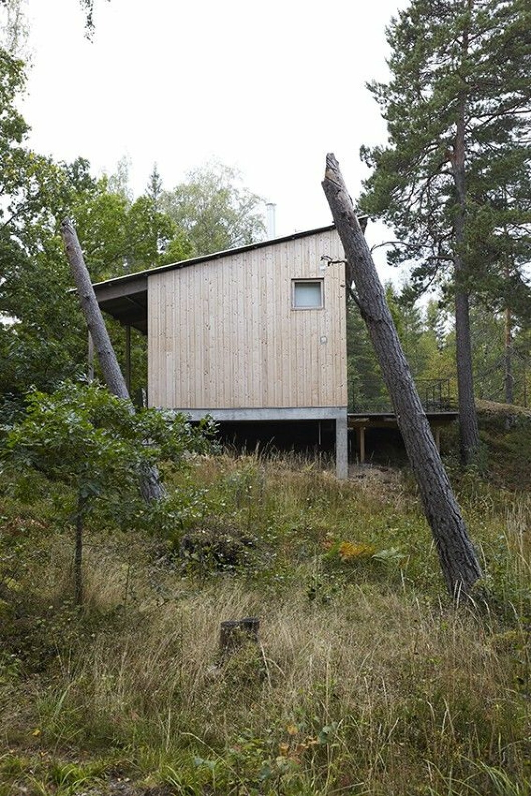 Beställaren är arborist och har önskat behålla landskapet så vilt som möjligt. De lutande träden är ett minne från en storm som drabbade Roslagen under byggtiden. Kika in i arkitektritade huset. Här lever man spartanskt utan el och vatten.
