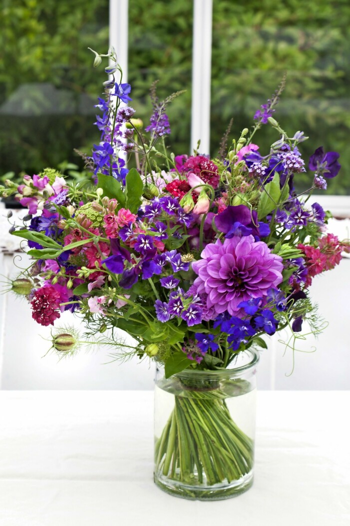 Sommarbukett med sommarflox, blåklint, jungfrun i det gröna, vildmorot, dahlia, vallmokapslar, ringblomma, kungsljus, sommarriddarsporre och röllika. Vacker sommarbukett.