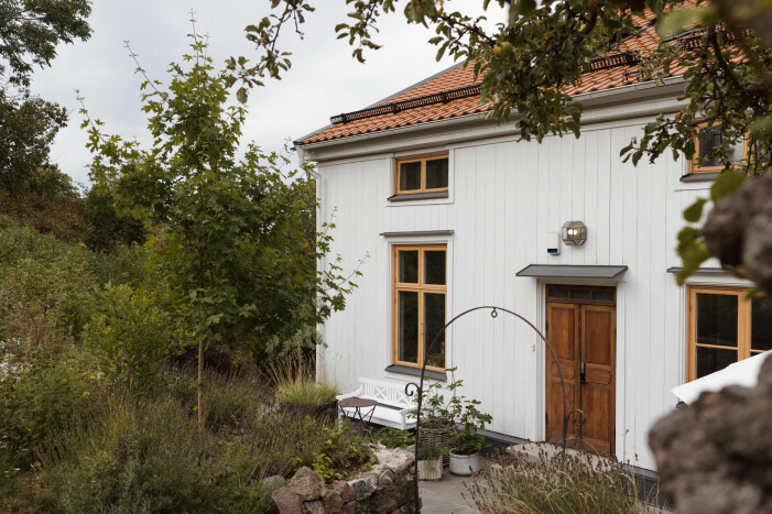 Vacker trädgård