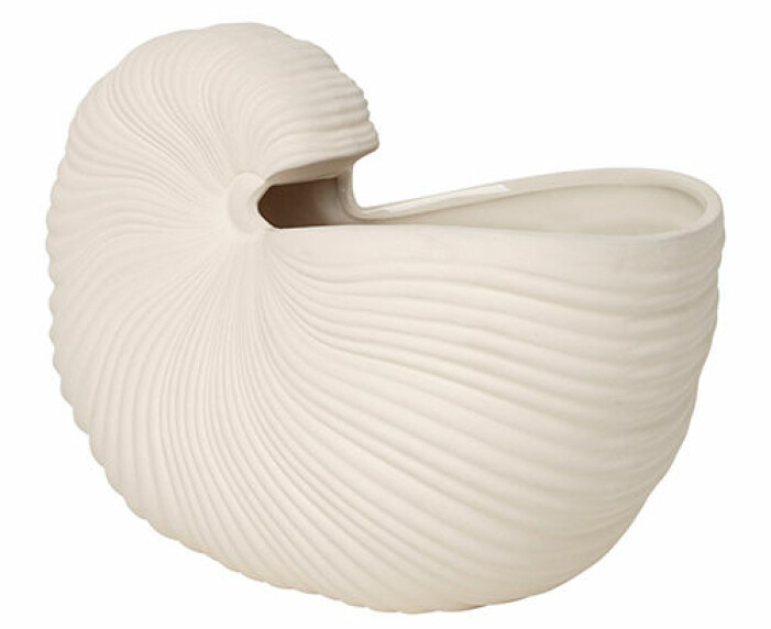 vas shell