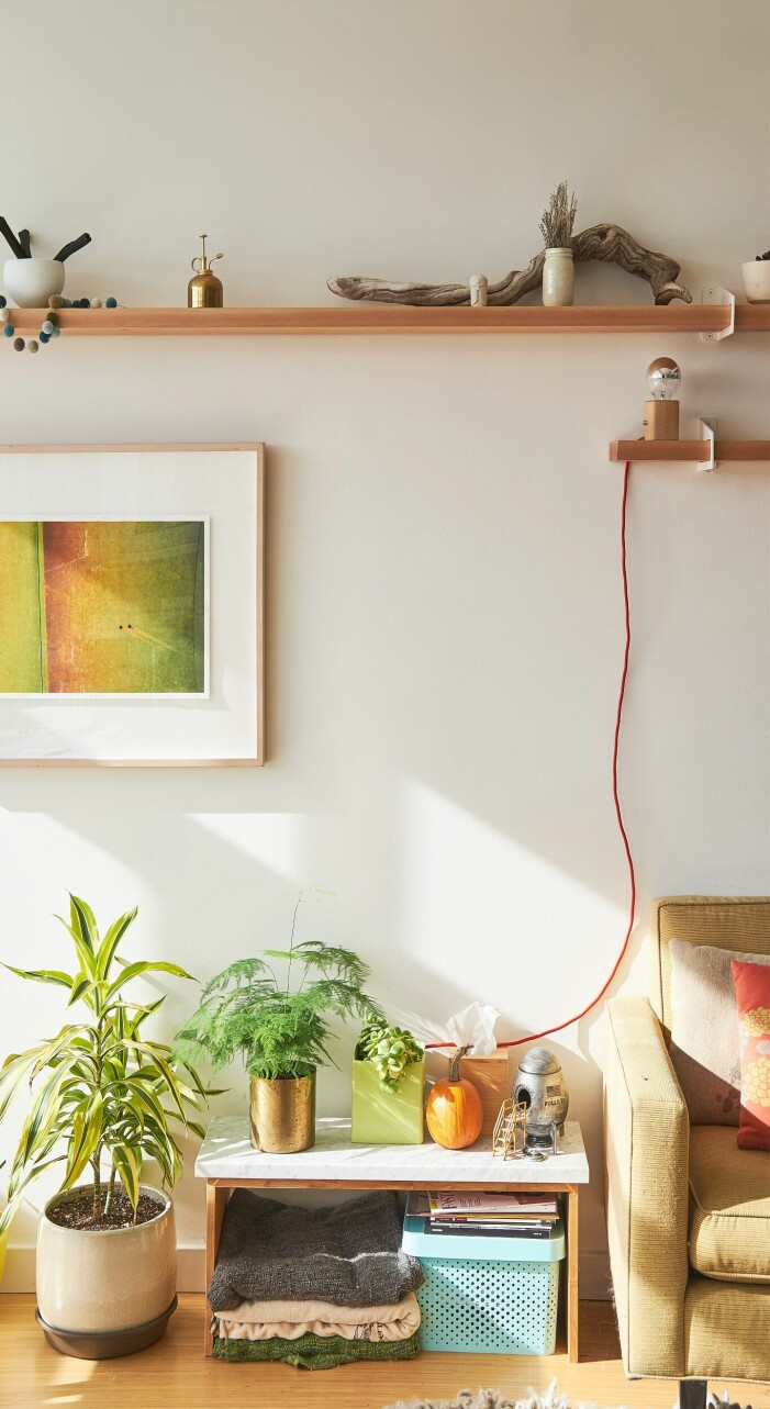 Flytta med fördel en ormbunke till hörnet av rummet för en mjukare helhetskänsla. Foto: Grovemade/Unsplash. Växter och blommor att inreda med enligt feng shui, ormbunke