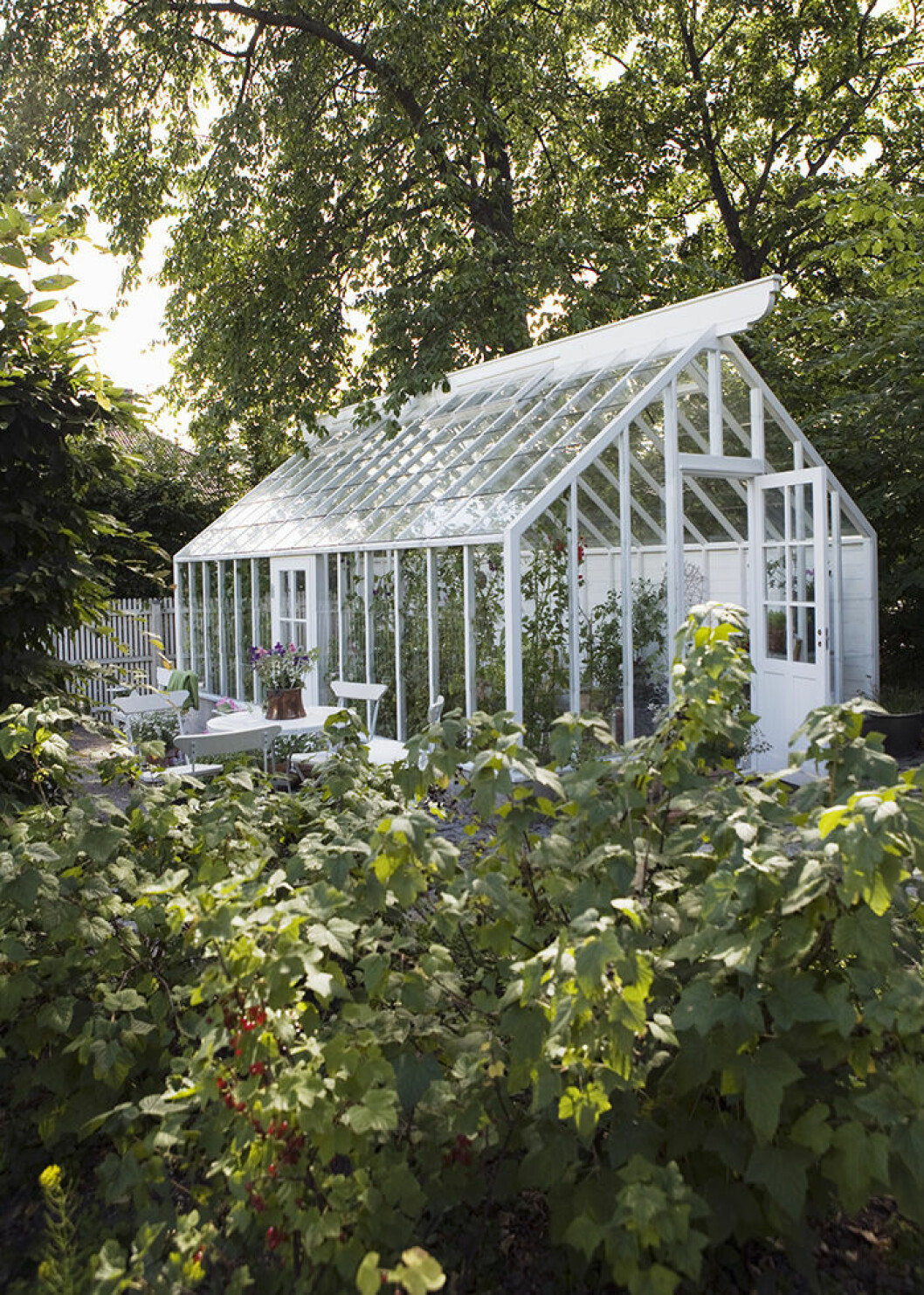 Glöm inte utsidan av växthuset – dekorera och inred trädgården