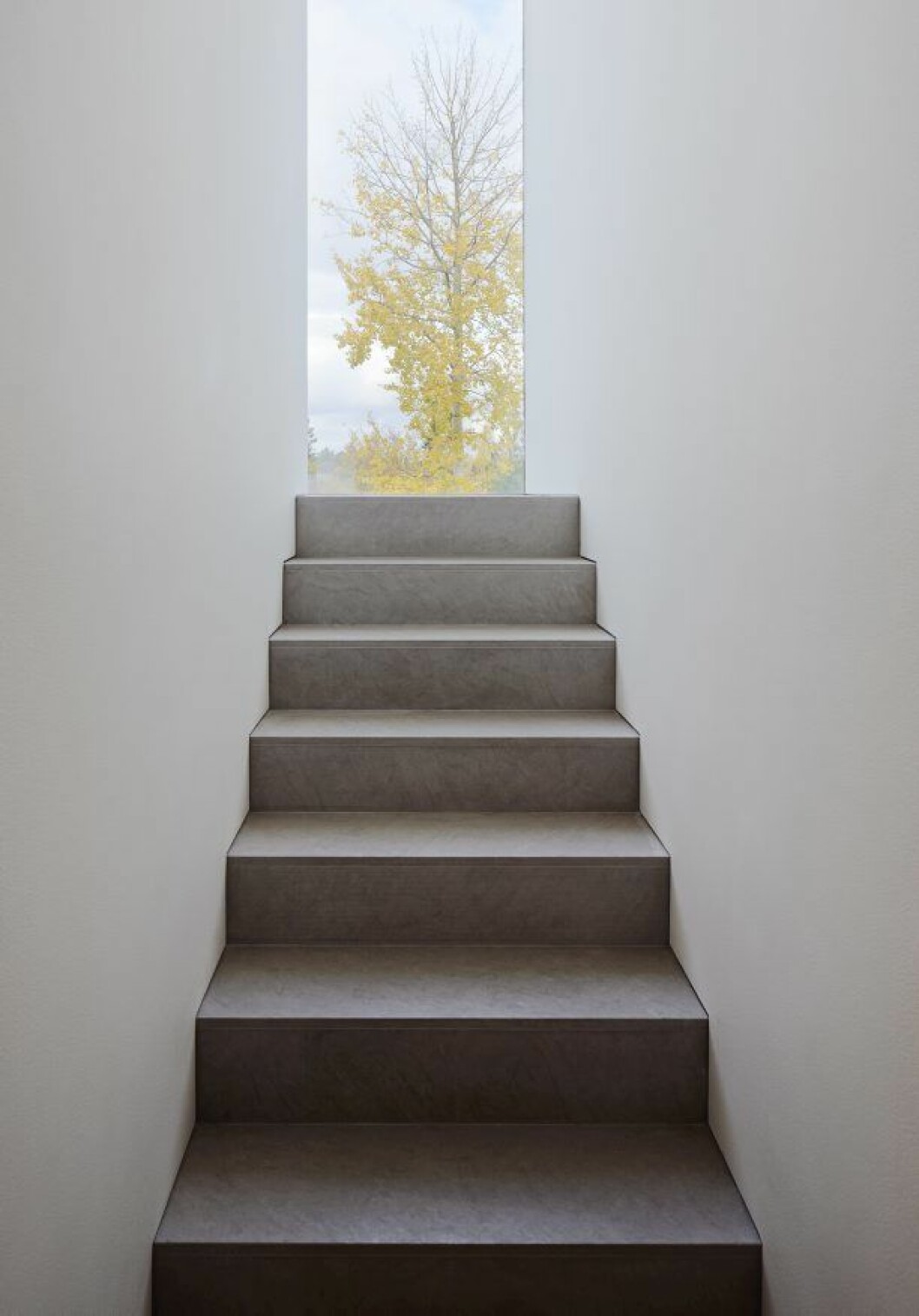 Ett fönster i hela trappans höjd ramar in de ståtligaste trädstammarna. Villa Palmgren, John Pawson Limited