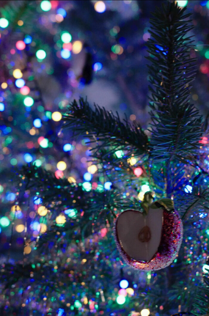 Det tredje temat, <span class=" italic" data-lab-italic_desktop="italic">Christmas glam</span>, är perfekt för dig som vill maxa julen rejält. Julen på Jotex 2021, julpynt
