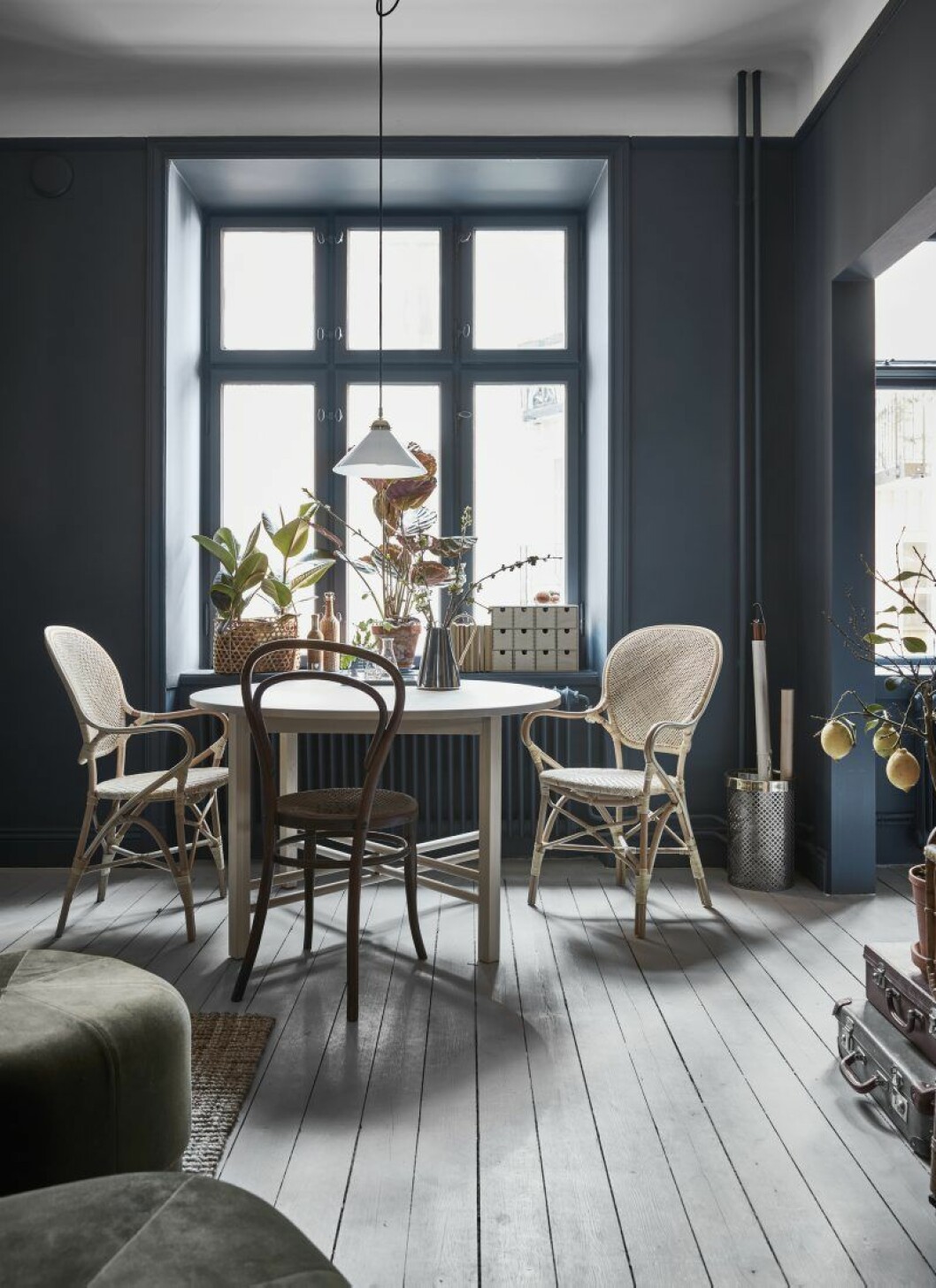 Framför fönstret står matbordet Björksnäs från Ikea. Rottingstolar Rossini från Sika design/Artilleriet och en Thonetstol köpt på auktion. Taklampa från Byggfabriken. I förgrunden skymtar sittpuffar i sammet från Normann Copenhagen. Framför fönstret står matbordet Björksnäs från Ikea. Rottingstolar Rossini från Sika design/Artilleriet och en Thonetstol köpt på auktion. Taklampa från Byggfabriken. I förgrunden skymtar sittpuffar i sammet från Normann Copenhagen.