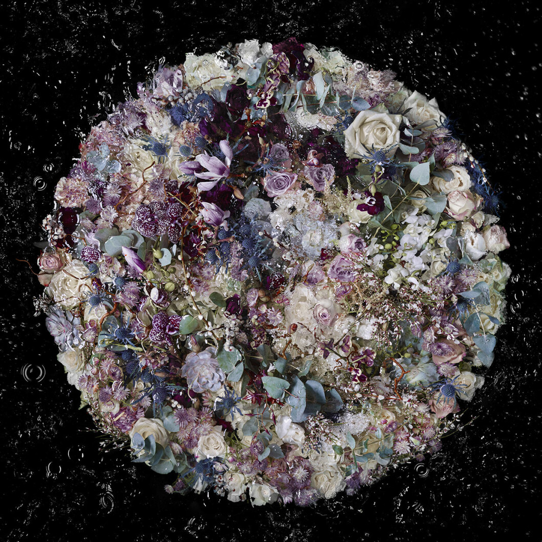 Wet paint – Purple rain. Wet paint – Purple rain.